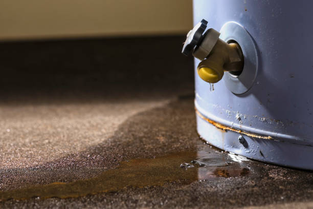 Best Water damage restoration specialists  in Buchanan, NY