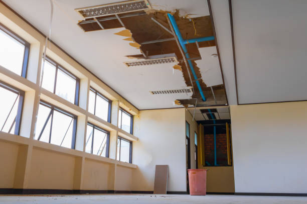  Buchanan, NY Water damage restoration Pros