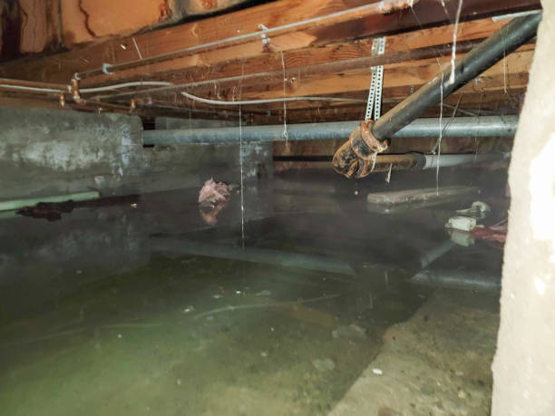 Best Residential water damage restoration  in Buchanan, NY
