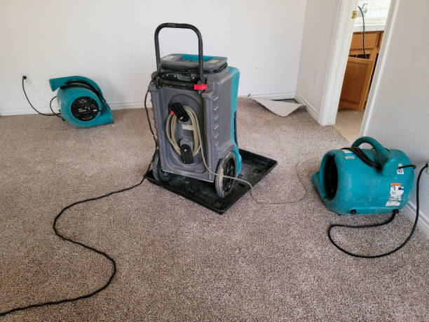 Best Basement water damage restoration  in Buchanan, NY