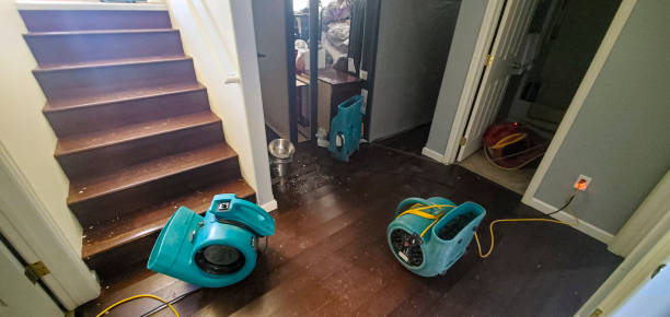 Best 24/7 water damage repair  in Buchanan, NY