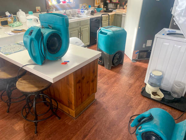 Reliable Buchanan, NY Water damage restoration Solutions
