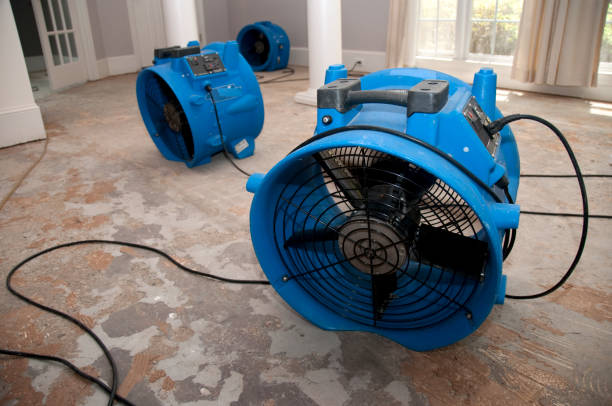 Best Commercial water damage restoration  in Buchanan, NY