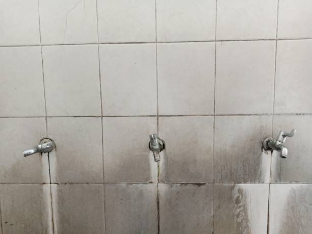  Buchanan, NY Water damage restoration Pros