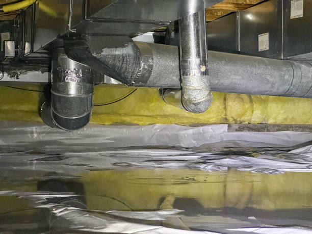 Best Water damage restoration near me  in Buchanan, NY